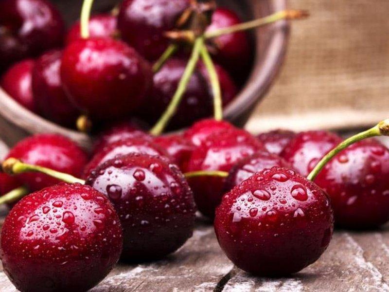 Вишня купить саженцы из питомника в Бийске